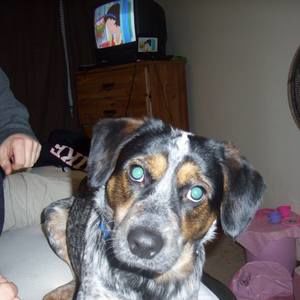 Meet your Posher, Rick